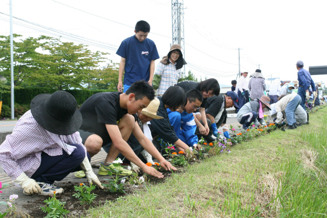 ドリームズブロッコリー　環境美化